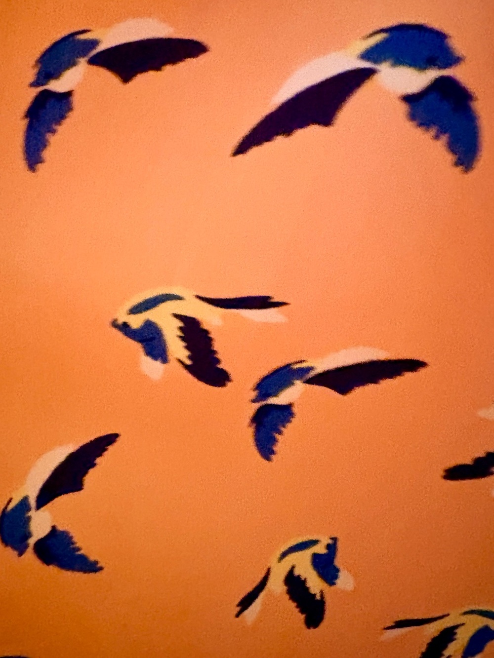 BeBop Orange Summer Dress with Navy Bird Motif - Picture 3 of 4